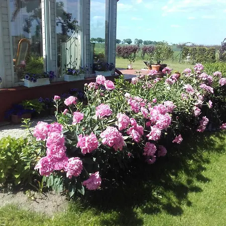 Hotel apartamentowy Willa Za Debami