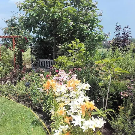 Hotel apartamentowy Willa Za Debami