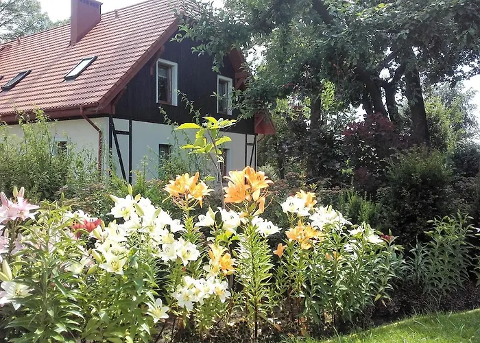 Willa Za Debami * Głogów