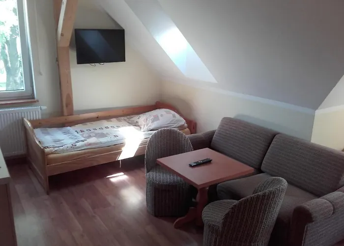 Willa Za Debami Lejlighedshotel Głogów